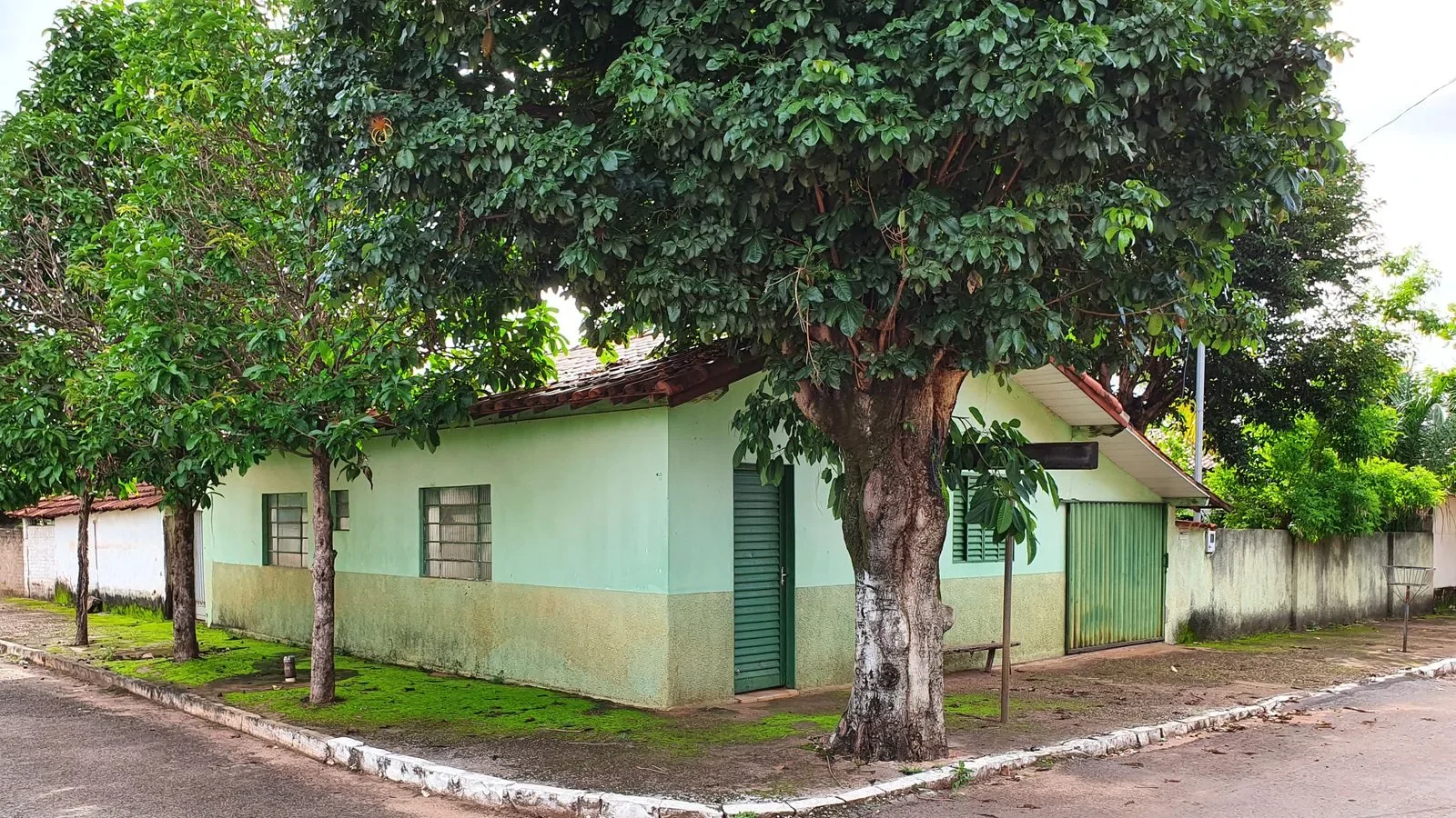 Casa térrea simples com uma grande árvore em frente