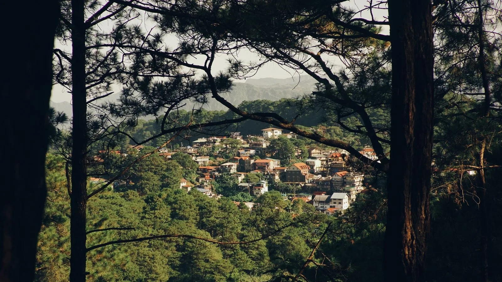 Povoado entre pinheiros e montanhas verdes, visto de longe