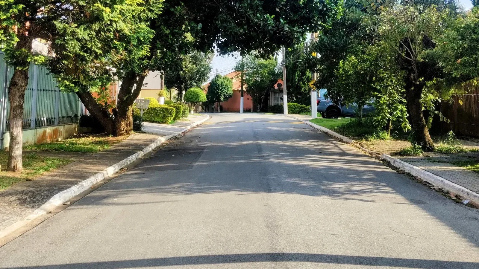 Rua residencial arborizada e tranquila, com casas ao fundo